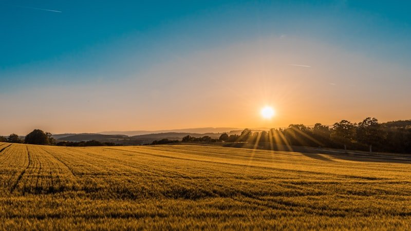 Land & Plot Acquisition